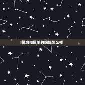 属鸡和属羊的姻缘怎么样，说鸡和属羊的能结婚吧