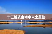 十二地支金木水火土属性，十二地支五行属性方位
