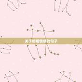 关于婚姻情感的句子，关于爱情婚姻的唯美句子