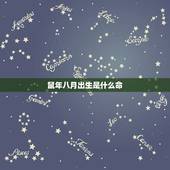 鼠年八月出生是什么命，十一月的鼠是什么命