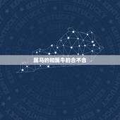 属马的和属牛的合不合，属牛和属马的夫妻例子
