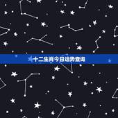 十二生肖今日运势查询，十二生肖今日运势每日运程