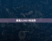 属兔人2021年运势，2021年兔子的运势如何