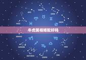 牛虎属相婚配好吗，牛虎属相相配吗