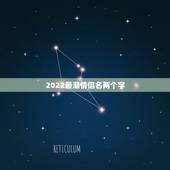 2022最潮情侣名两个字，2023最火情侣网名两字