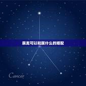 辰龙可以和属什么的婚配，属龙的跟什么属相婚配好