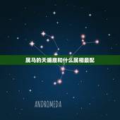 属马的天蝎座和什么属相最配，属马的天蝎座女生与什么样的男生最配