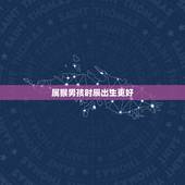 属猴男孩时辰出生更好，猴年什么时辰出生更好