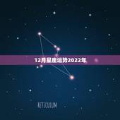 12月星座运势2022年，求大师帮忙算一下一生运势
