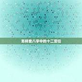 怎样查八字中的十二宫位，查通胜立命十二宫流年方法