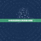88年的龙男和95年的猪女婚配，1995年属猪女的佩1988年属龙的男