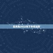 生肖兔2022年下半年运势，2022年兔男运程