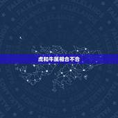 虎和牛属相合不合，十二生肖更佳姻缘配对