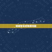 婚姻常见的情感问题，婚姻的情感问题该如何解决？具体要怎么做？求指点！
