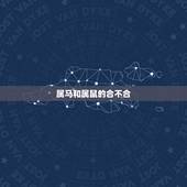 属马和属鼠的合不合，女鼠男马能过一辈子吗