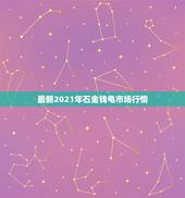 最新2021年石金钱龟市场行情，石金钱龟养前景如何