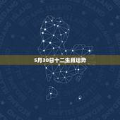 5月30日十二生肖运势，十二生肖每月运势详解