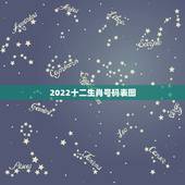 2022十二生肖号码表图，2022年年龄表