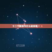 十二个属相为什么鼠排第一，十二生肖老鼠为什么排第一猪怎么排最后呢