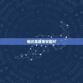 相识是缘带字图片，朋友相识是缘的句子