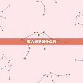五六运势是什么肖，运势流转 是什么生肖？