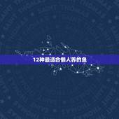 12种最适合懒人养的鱼，懒人养哪种观赏鱼？