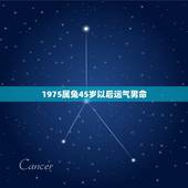 1975属兔45岁以后运气男命，1975年属兔的财运及方位在哪里求财