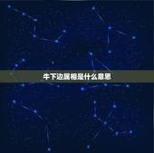 牛下边属相是什么意思，牛相冲代表什么生肖
