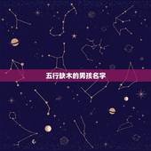 五行缺木的男孩名字，属牛缺木男孩名简单大气