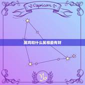 属鸡和什么属相最有财，属鸡的和什么属相合财