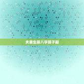 夫妻生辰八字算子嗣，生辰八字算子女计算器
