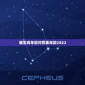 猪生肖年份对照表年龄2022，属相年份对照表2022