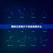猴的三合和六个合生肖是什么 属猴三合和三冲属相