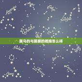 属马的与属猴的婚姻怎么样，属猴男配属马女好不好