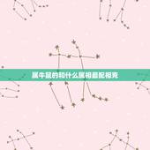 属牛鼠的和什么属相最配相克，属鼠的和属牛的人相克么？