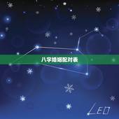 八字婚姻配对表，八字合婚上婚