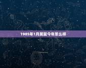 1985年1月属鼠今年怎么样，84年属鼠37岁有一灾2022