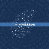 2022牛年男宝宝小名，2022 年男宝宝名字推荐
