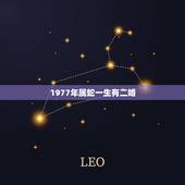 1977年属蛇一生有二婚，1977年属蛇的人2023年的感情