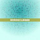 属鸡男的和什么属相最配，男属鸡的和什么属相最配最合适