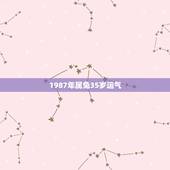 1987年属兔35岁运气，1987年兔女2021年下半年运势
