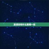 鼠适合和什么属相一起，属鼠人和什么属相共事最合适