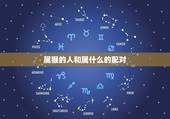 属猴的人和属什么的配对，猴跟什么生肖配对更好