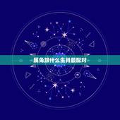 属兔跟什么生肖最配对，属虎跟属兔女