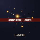 属猴的今年农历十一月份多大，属猴最苦月份