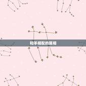 和羊相配的属相，和羊相配的属相子女