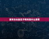 属羊女头胎见子有刑是什么意思，属羊女二婚会过得好吗