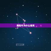 兔和牛为什么相克，1997牛和1999兔相配吗
