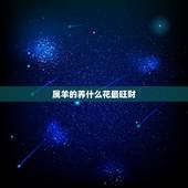 属羊的养什么花最旺财，属羊家里摆什么花最旺财