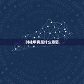时柱甲寅是什么意思，日柱地支寅木